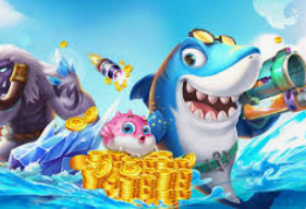 赏金国际vip登录入口2024最新版