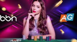 赏金国际vip登录入口免费版