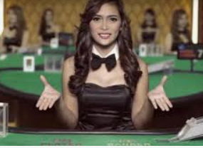 赏金国际vip登录入口客户端